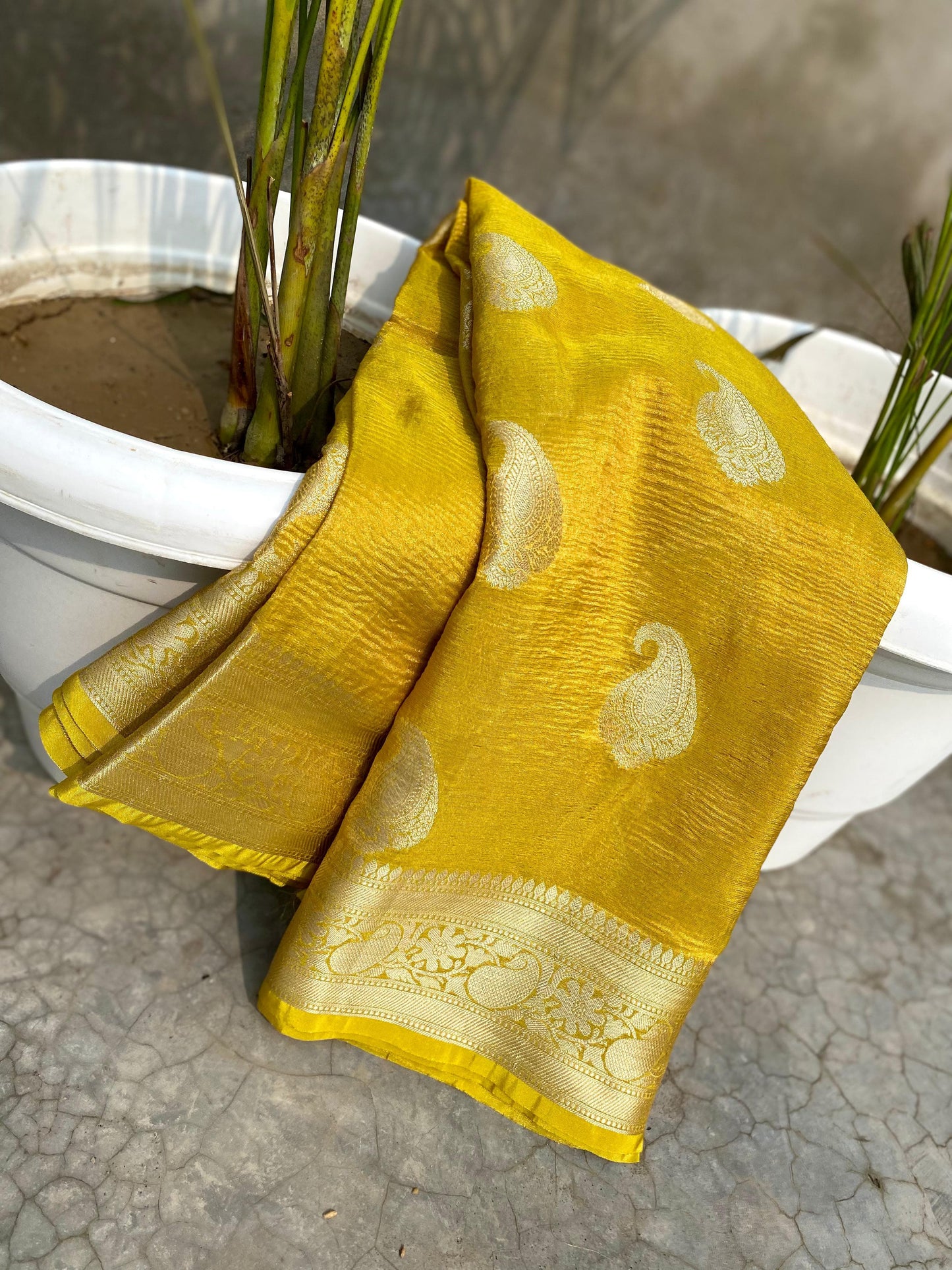Ruhani Banarasi Crushed Tissue Silk Saree with Brocade Blouse